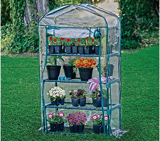 Bloom 4ft. 4-Tier Portable Greenhouse with Shelves